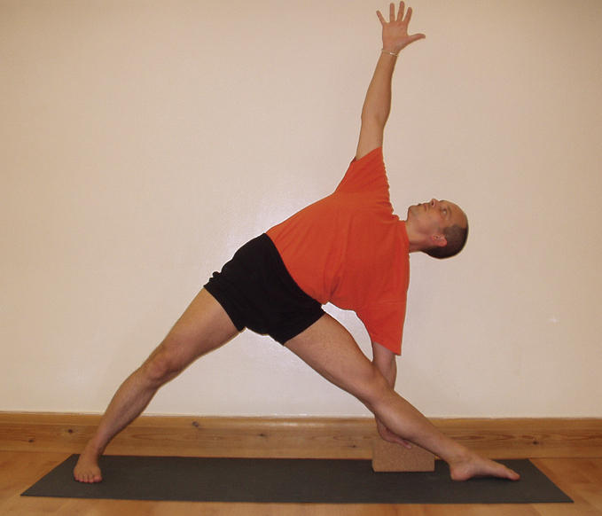 Iyengar-yoga-i.jpg